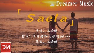 SAELA - 王澤鵬『我的心上有個缺口，Saela 我早已受夠』【動態歌詞】