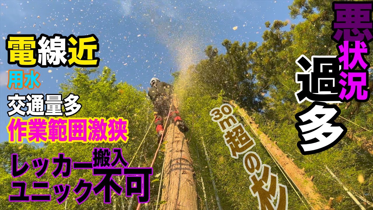 伐採 後を絶たない違法伐採 言い逃れの余地 境界未確定問題が背景に