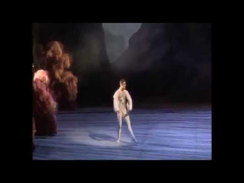 Michal Krcmar -