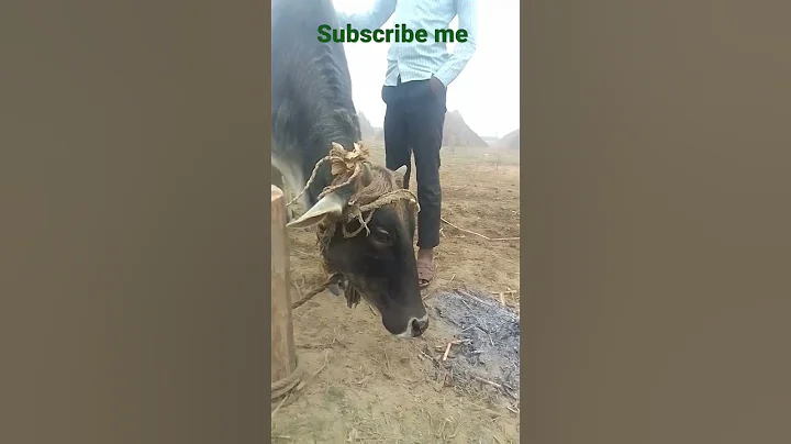 I got up for your video channel YouTube Jacqueline...