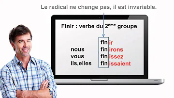 Quelle est la différence entre Racine et radical ?