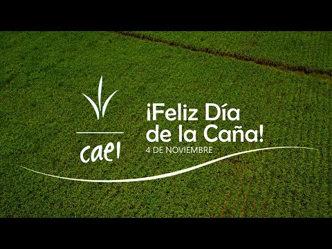 Día de internacional de la Caña | 4 noviembre 2024 CAEI RD - YouTube