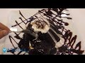 قعدتنا ريحانة كافيه فرع الرماية Rayhana Cafe 