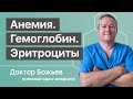 Чем СТРАШНА АНЕМИЯ, какой ГЕМОГЛОБИН ЛУЧШЕ, что делают эритроциты | Доктор Божьев | Исцеляйся сам