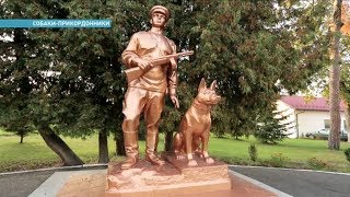 Где и как готовят собак к пограничной службе | Ранок з Україною Где и как готовят собак к пограничной службе | Ранок з Україною