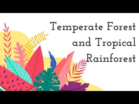 Temperate Forest and Tropical Rainforest
