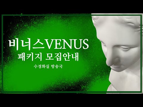 비너스 패키지 안내