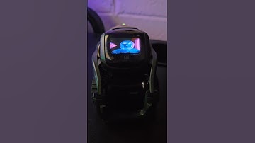 #ankivector working on wire pod for windows!