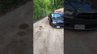 Just a hemi 🤣 #srt8 #5.7hemi #srt #fyp #shorts #392 #charger #scat
