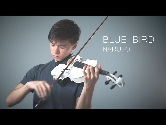 Naruto Shippuden - Blue Bird - Violin Cover by Alan Milan class=
