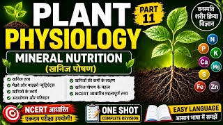 NEET के लिए खनिज पोषण | Plant Physiology का सबसे महत्वपूर्ण टॉपिक