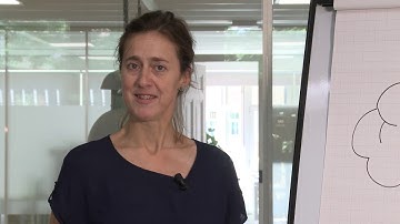 Tutorial on Brain based learning principles