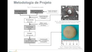 André Luiz Paiva 26º Sic Ufsc