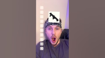 Panda Rating Pubg Weapons ❗️