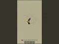Cool Floaters/ Highstuns #roblox #comboes #viral #saitamabattlegrounds #minicombo #tsb #fyp
