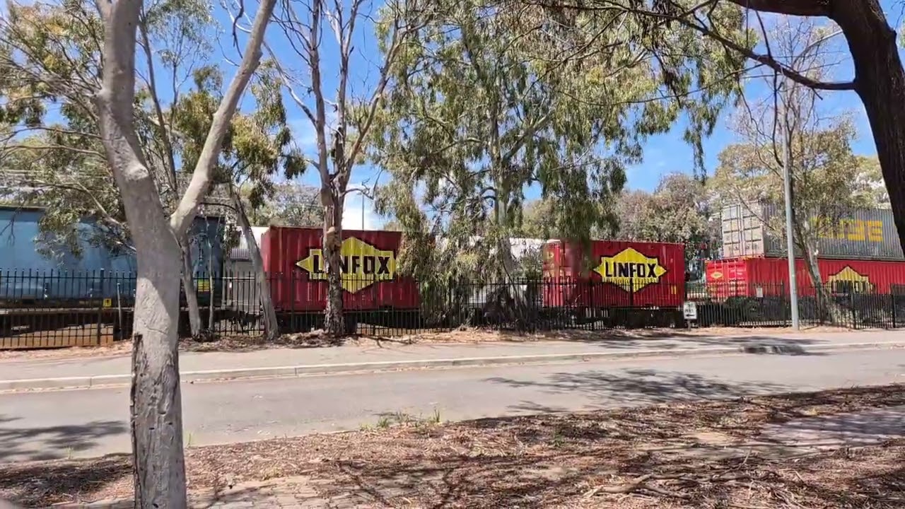 NR97 and NR98 leading 7MP5 