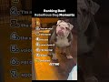 Top 7 Rebellious Dog Moments 🐶