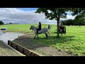 Sir mark todd hits horse with tree branch