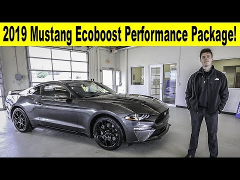 2019 Ford Mustang
