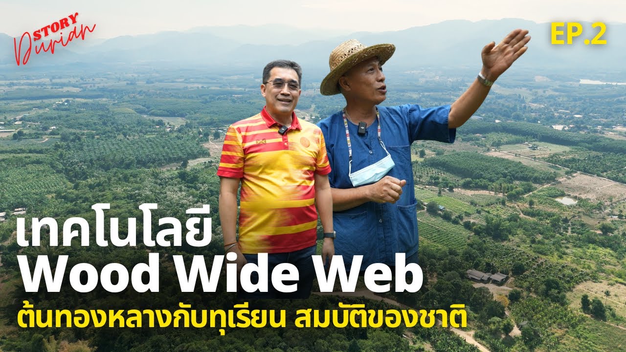 เทคโนโลยี Wood wide Web ต้นทองหลางกับทุเรียน สมบัติของชาติ | Durian Story EP.2