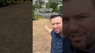 Getting Down To Dirt #lawnrenovation #landscaping #lawngoals #diy