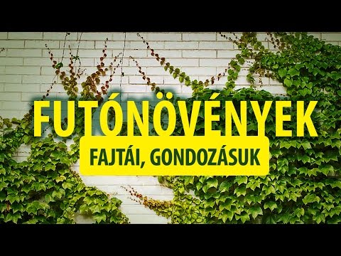 Videó: Melyek a kúszónövények?