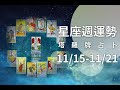 11/15-11/21｜星座週運勢｜W.H. Tarot．塔羅牌占卜