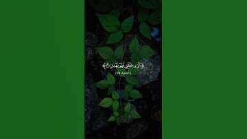 حالات وأتس أب قرآن / من سورة الشعراء بصوت القارئ ناصر القطامي #ناصر_القطامي #قرآن #قران #قران_كريم