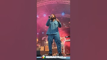 Iotosh @ Turnpike Reggae Festival 2025 in Herzebrock-Clarholz, Germany - August 16, 2025