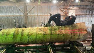 I Saw 1000 Board Feet in 3 Logs! #44