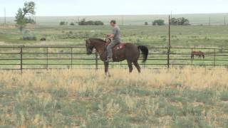 Fred Eichler and friend bucked off a horse