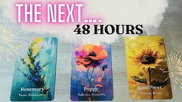 The Next 48 Hours! PICK A CARD What will Happen? What to Expect Next! Timeless Tarot Reading
