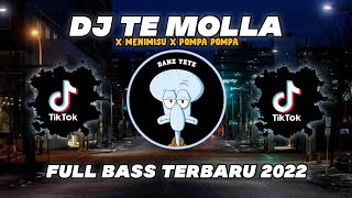 DJ TE MOLLA X MENIMISU X POMPA POMPA - JEDAG JEDUG VIRAL TIKTOK TERBARU 2022
