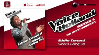 Eddie Conard - What's Going On (The voice of Holland 2014 The Blind Auditions Audio)