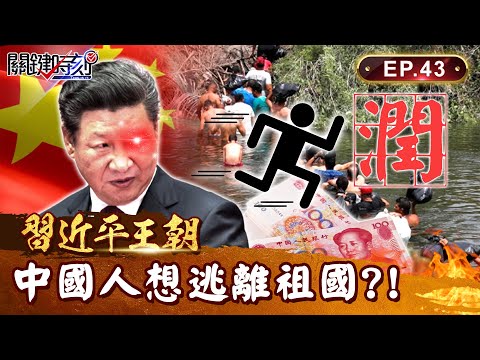 【習近平王朝】中國人不計代價「潤」出祖國？！「人、錢、技術」每月1.5兆資金外逃...習近平怒出手抓移民公司「一個都別想逃」！？｜EP43 關鍵時刻 劉寶傑