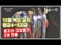 [대박조황]여수 백도 갈치낚시/ 혼자서 대장쿨러 2개 가득 4지, 5지급 만쿨/선상낚시x파일135화 asmr/소호항 레인보우 선단