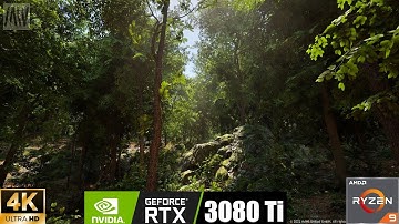 [4K] UNREAL ENGINE 5 | BROADLEAF FOREST BIOME | NANITE + LUMEN | RTX 3080Ti | Ryzen 9 5900X