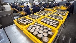 How it made Canned Tuna processing line in Factory