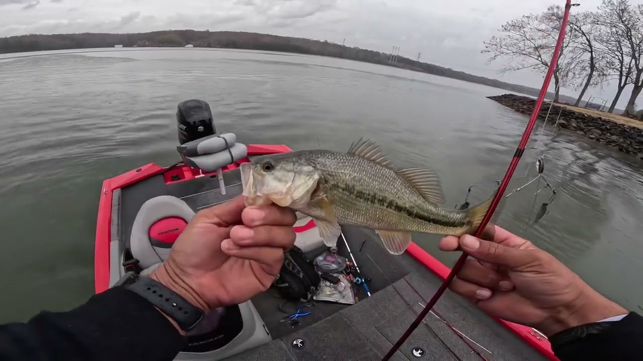 A plan coming together! Bass fishing