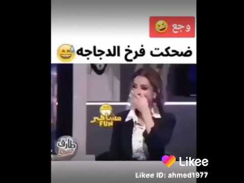 ضحكة فرخ الدجاجة