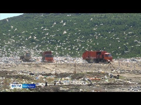 15 новых свалок обнаружили в окрестностях Магадана