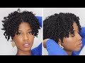Easy Defined + Moisturized Twist Out Tutorial Using ONE Styling Product