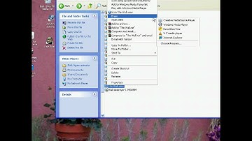 How to fix any problems with publishing Pivot Animations