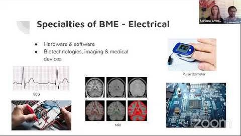 Different Fields within Biomedical Engineering