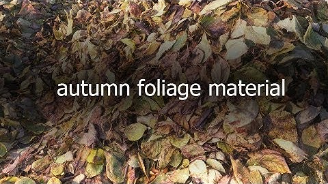 autumn foliage seamless material  (3ds max, vray)