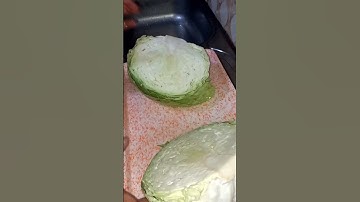 How to Cook Delicious Steamed Cabbage💯👌🥗 #healthyfood #veganrecipes #shorts
