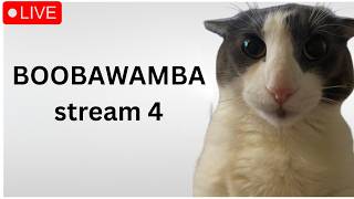 🔴BOOBAWAMBA 69%, 65%🔴 50-100🔴 STREAM 4