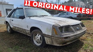 BOUGHT AN 11 MILE ALL ORIGINAL FOXBODY GT350!