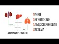 Ренин-ангиотензин-альдостероновая система, принцип работы. Патогенез артериальной гипертензии.