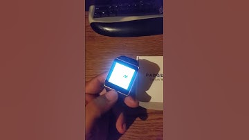 DZ09 ORIGINAL firmware boot-up (Padgene, PAGEME logo).